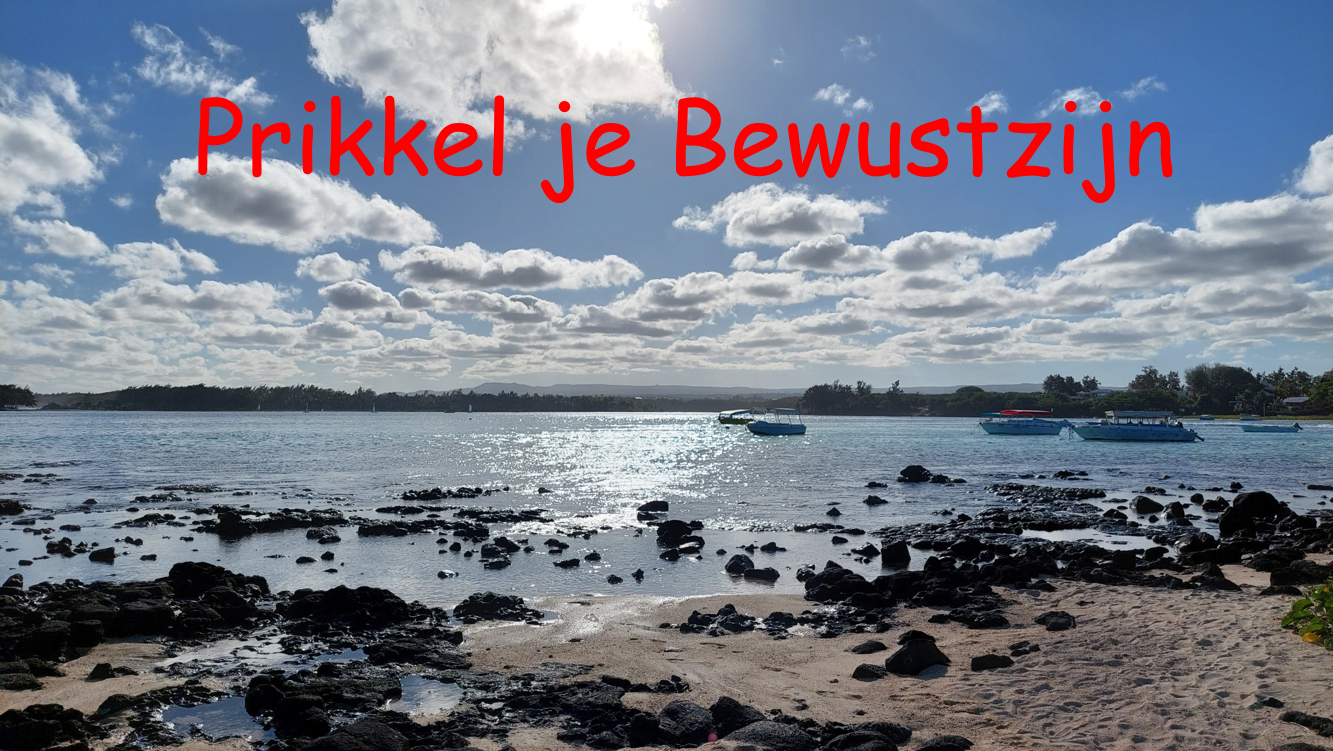 Prikkel je bewustzijn – Deel 5